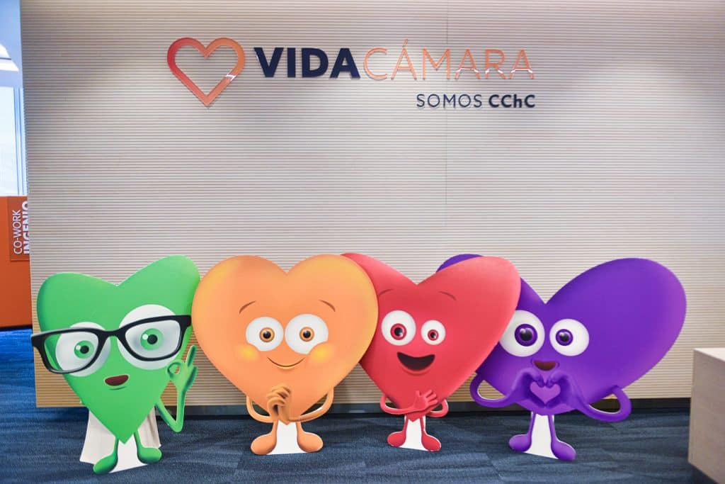 Imagen 3 Vida Ca╠ümara