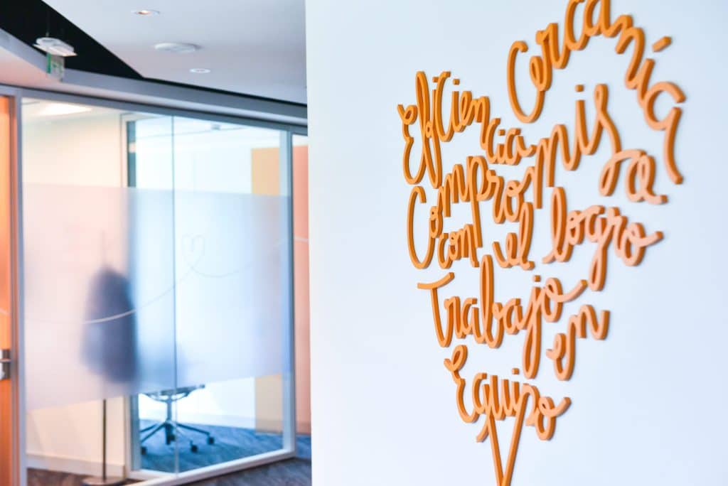 Vida Cámara 1 (1) (1)